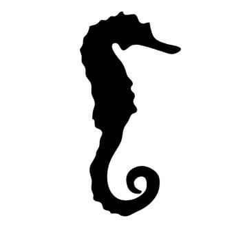 黑猫导航 